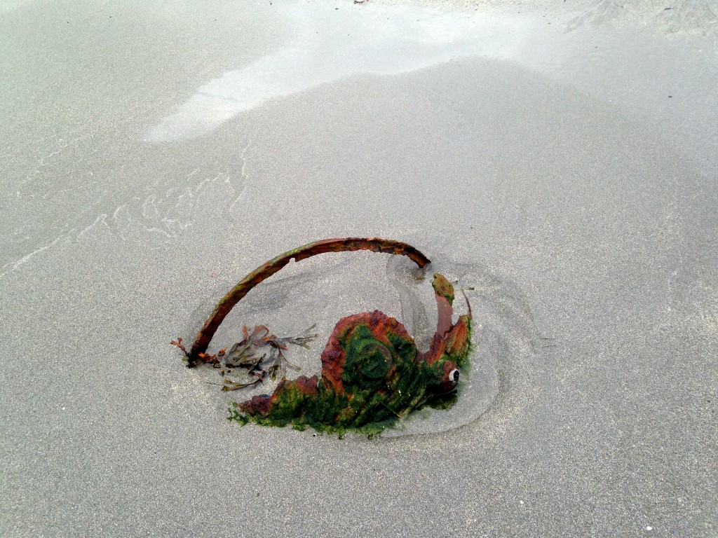 beachwalker, sandfjorden