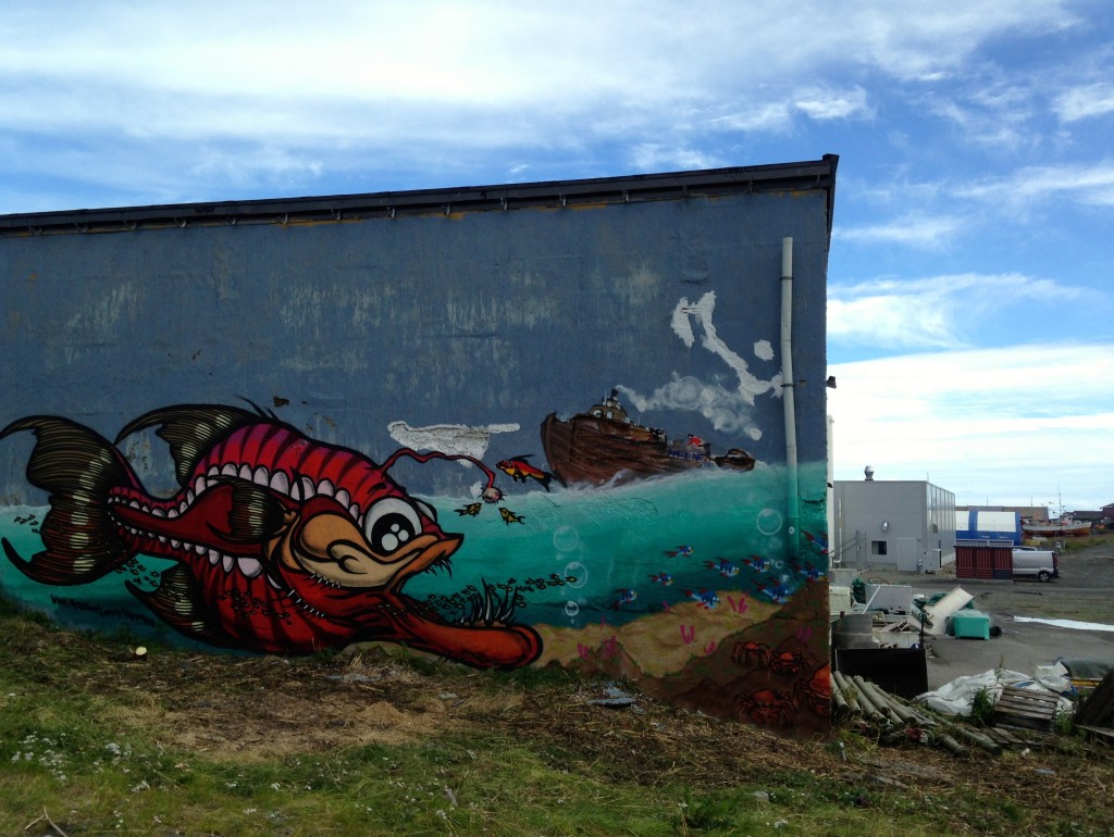 Berlevåg, beachwalker