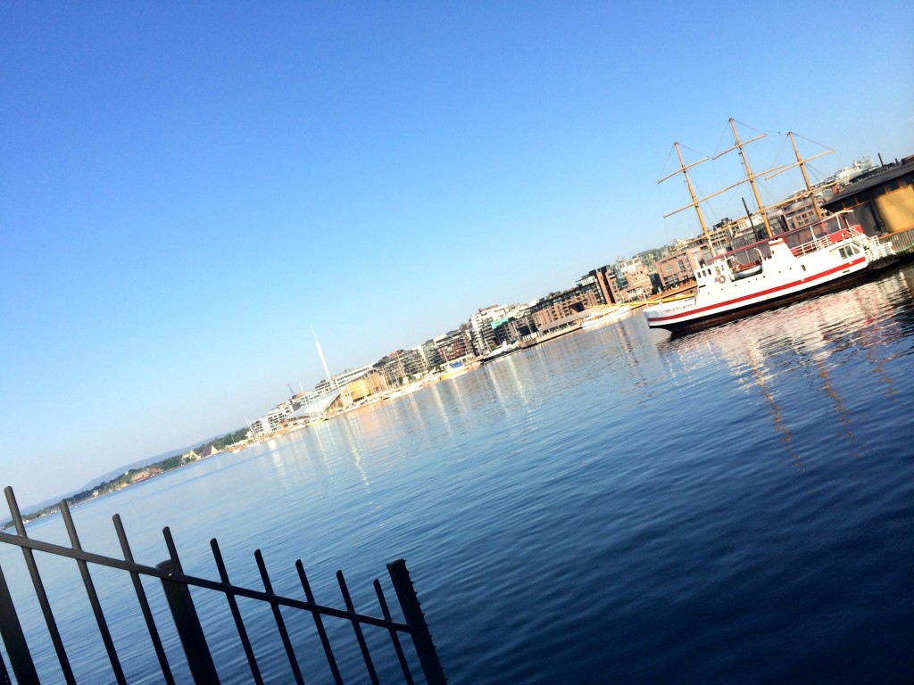 Overviewing  Akers Brygge in the morning light behind bars.