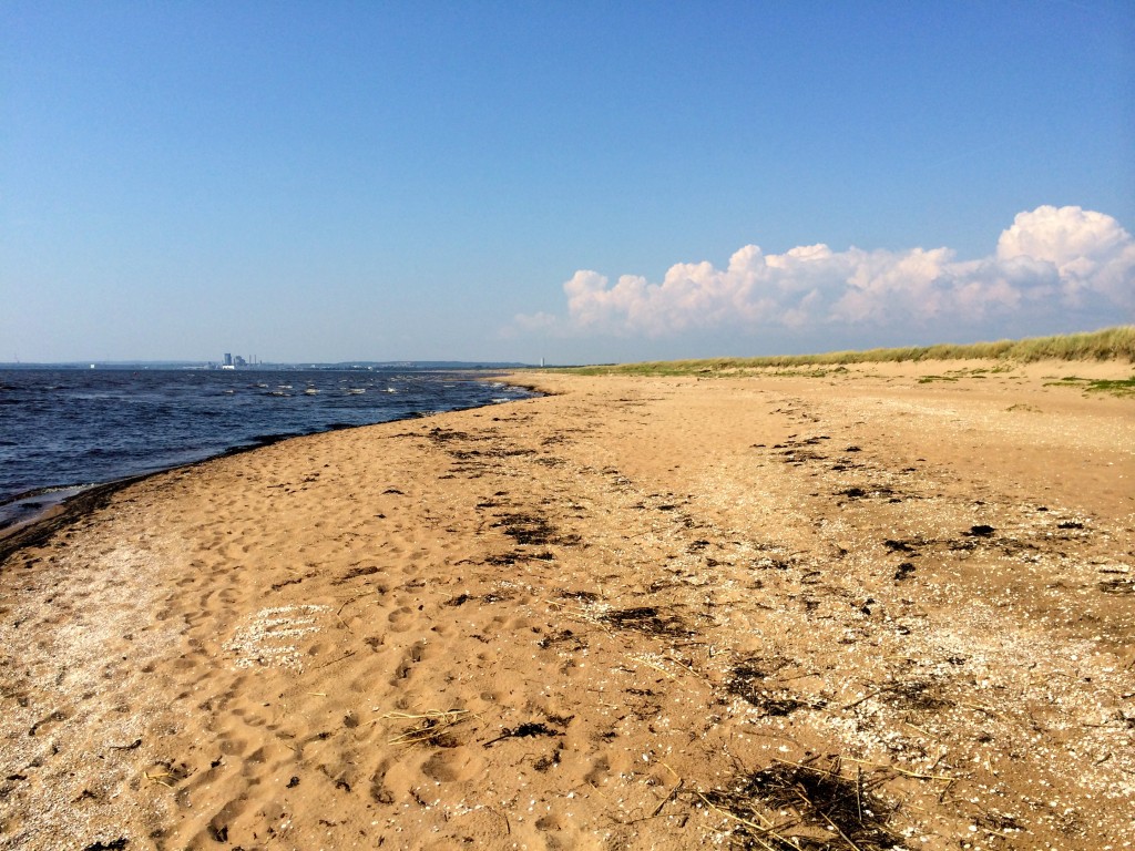 Östra Stranden is nice with no nice dry quick sand to walk on. Today. I am SlowWalker...