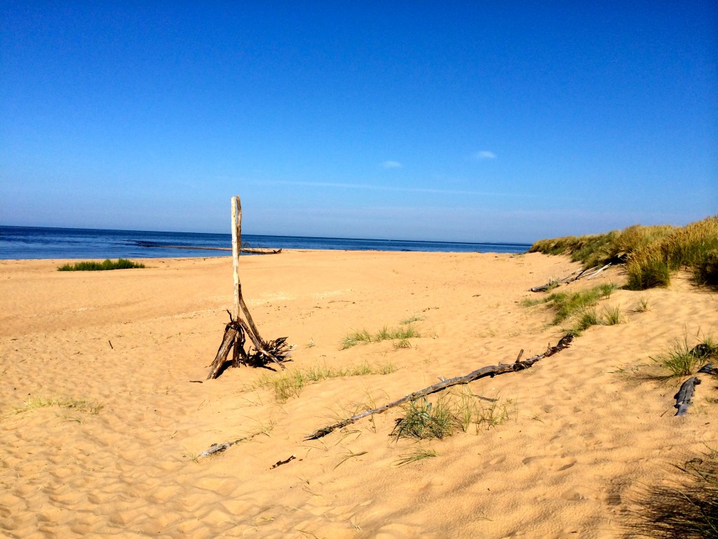 Östra Stranden. Very laid back. Very not Swedish. Very sometimes very brown water.