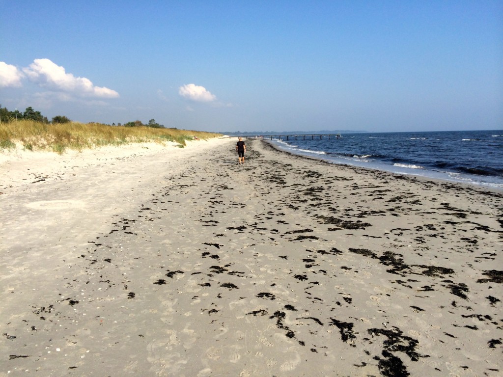 Someone thought she was a smarter and faster beachwalker than me. 11.3 seconds later she did not think so anymore. To be sure I asked her. She said. I don't think so....