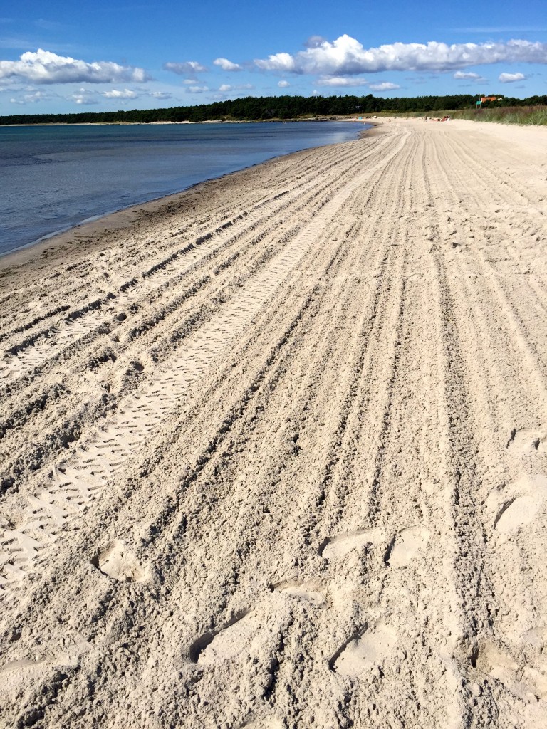 It doesn't get any better beachwalking conditions than this. A vehicle from Paradise transfers the sand into yellow cotton. 
