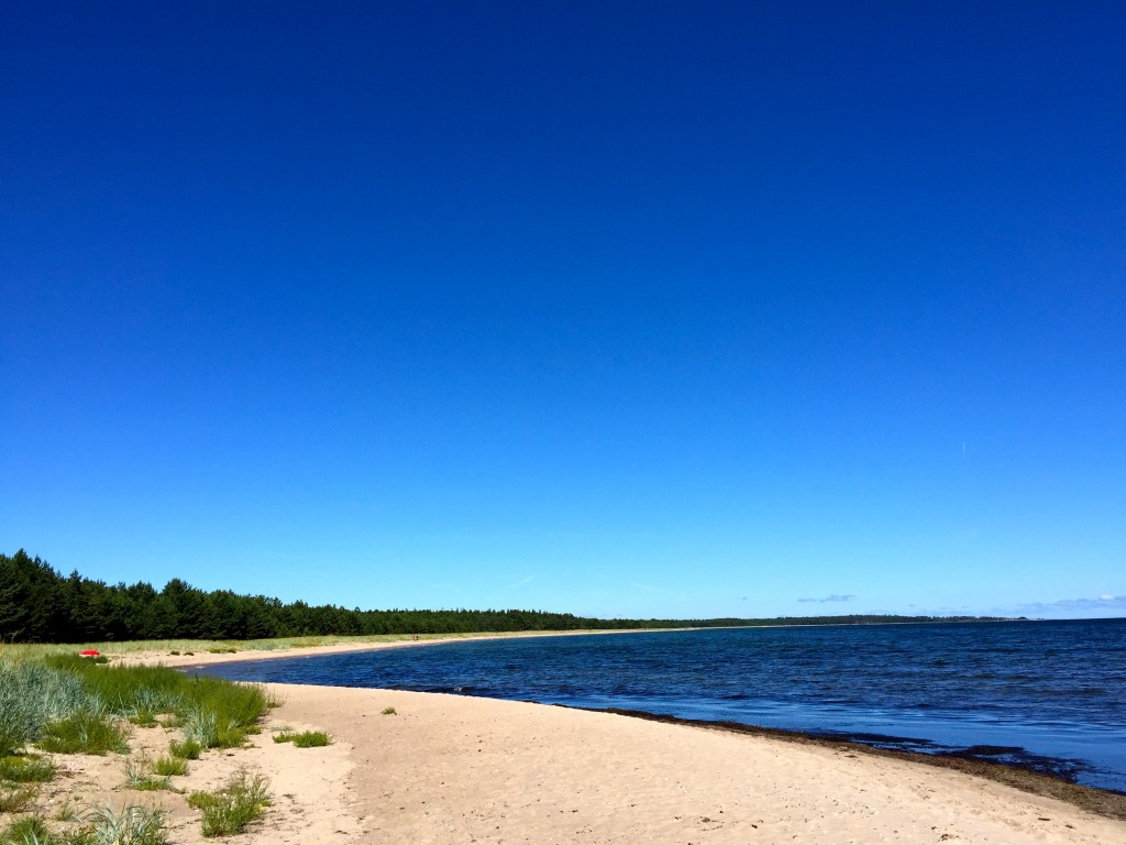 This beach is very secluded and nicer than nice this very day. 